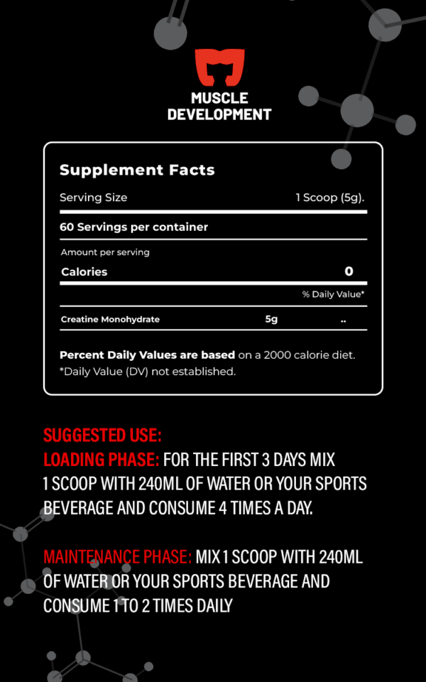 ⁦Muscle development creatine monohydrate⁩ - الصورة ⁦2⁩