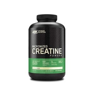 Optimum Nutrition Micronized Creatine Powder 600 gm